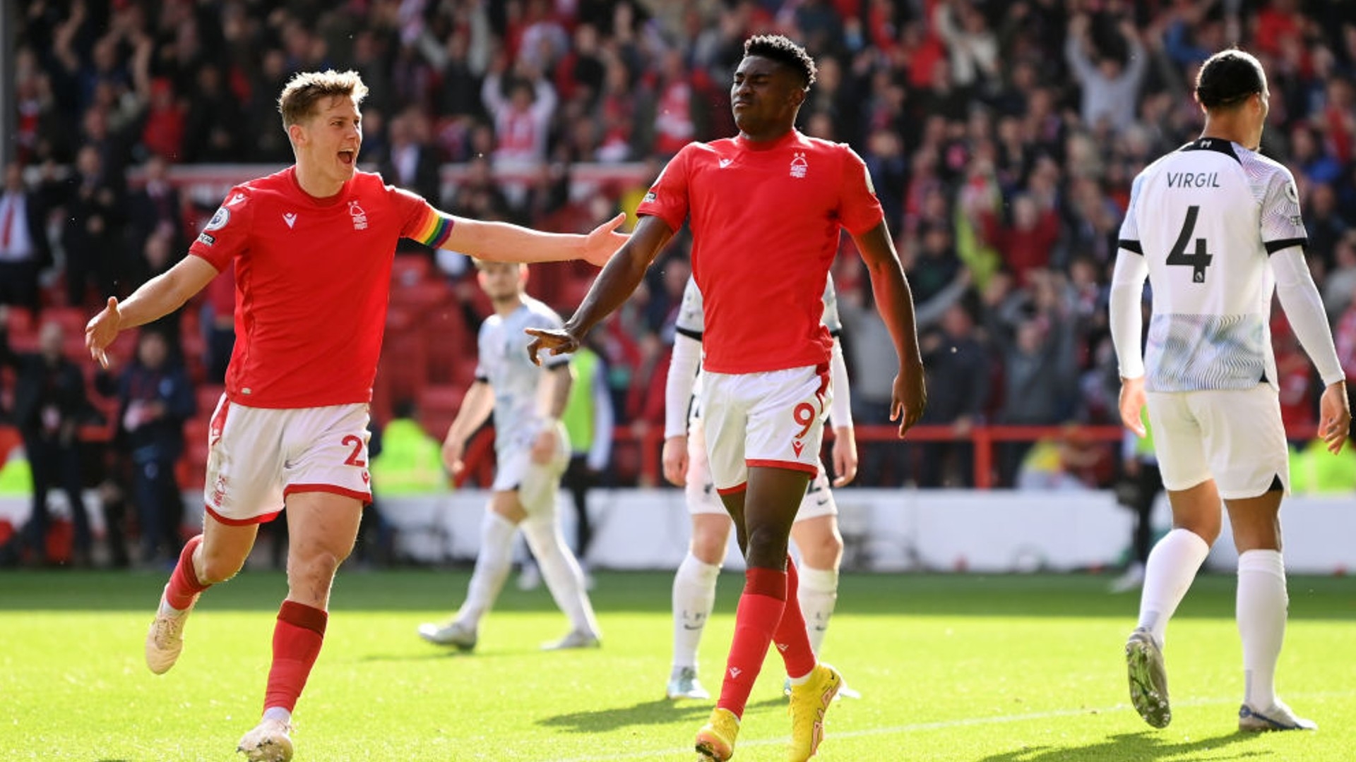 篮球界占据 篮球界占据